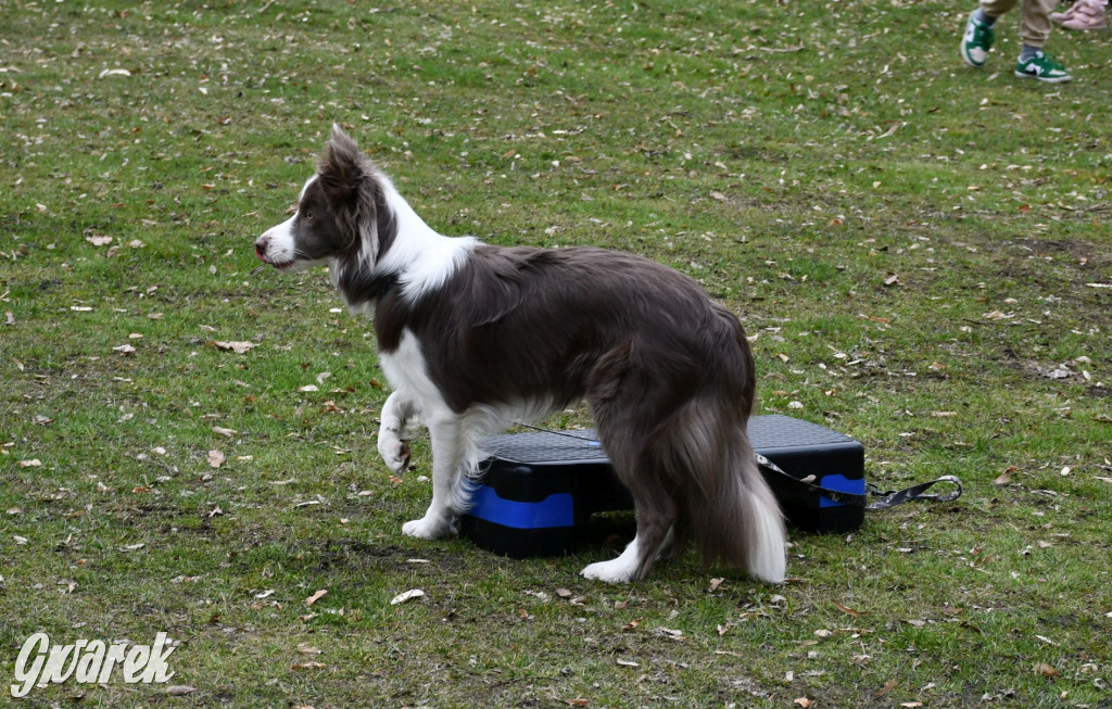 Pozytywna energia dla Mai. Charytatywny fitness