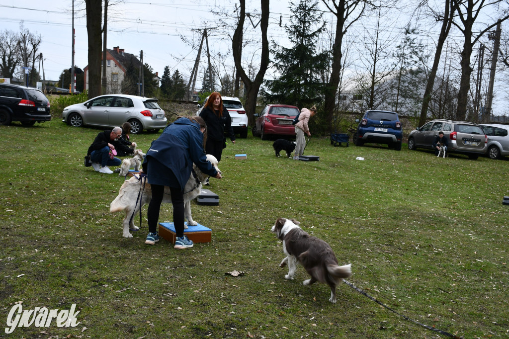 Pozytywna energia dla Mai. Charytatywny fitness