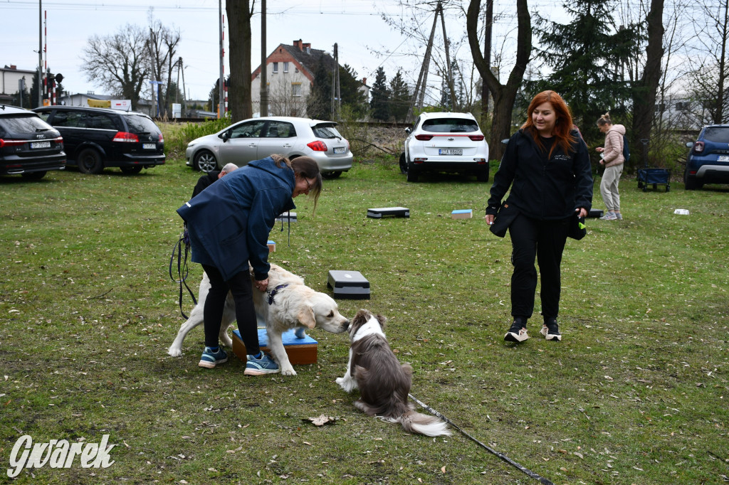 Pozytywna energia dla Mai. Charytatywny fitness