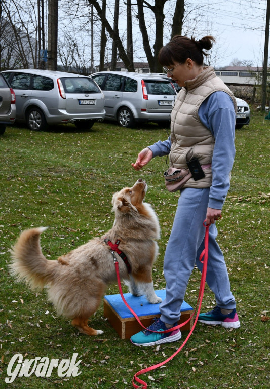 Pozytywna energia dla Mai. Charytatywny fitness