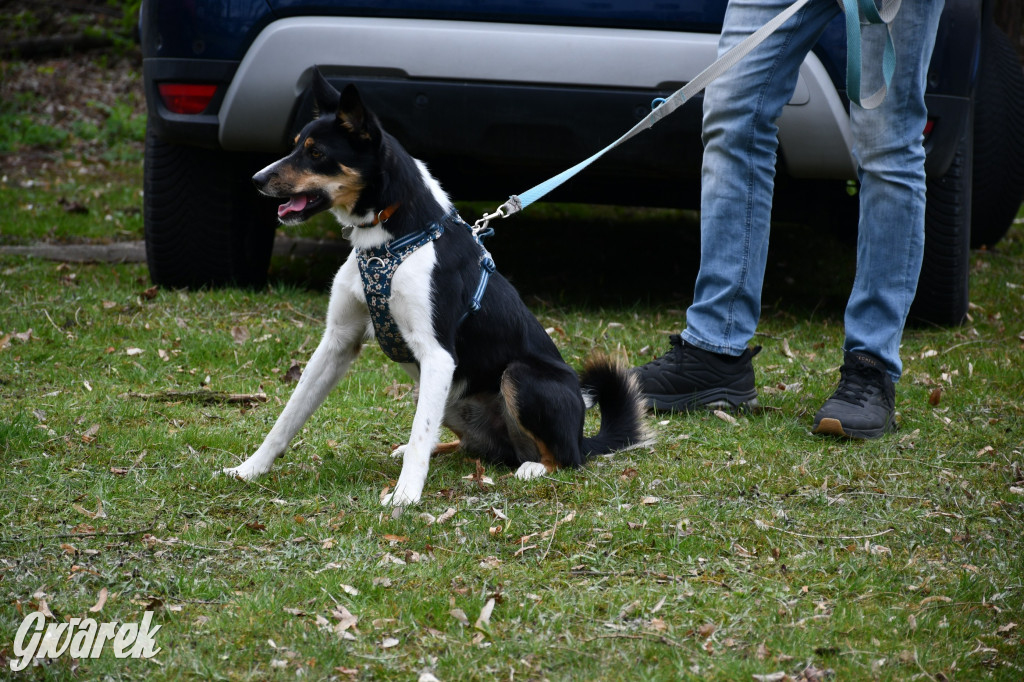 Pozytywna energia dla Mai. Charytatywny fitness