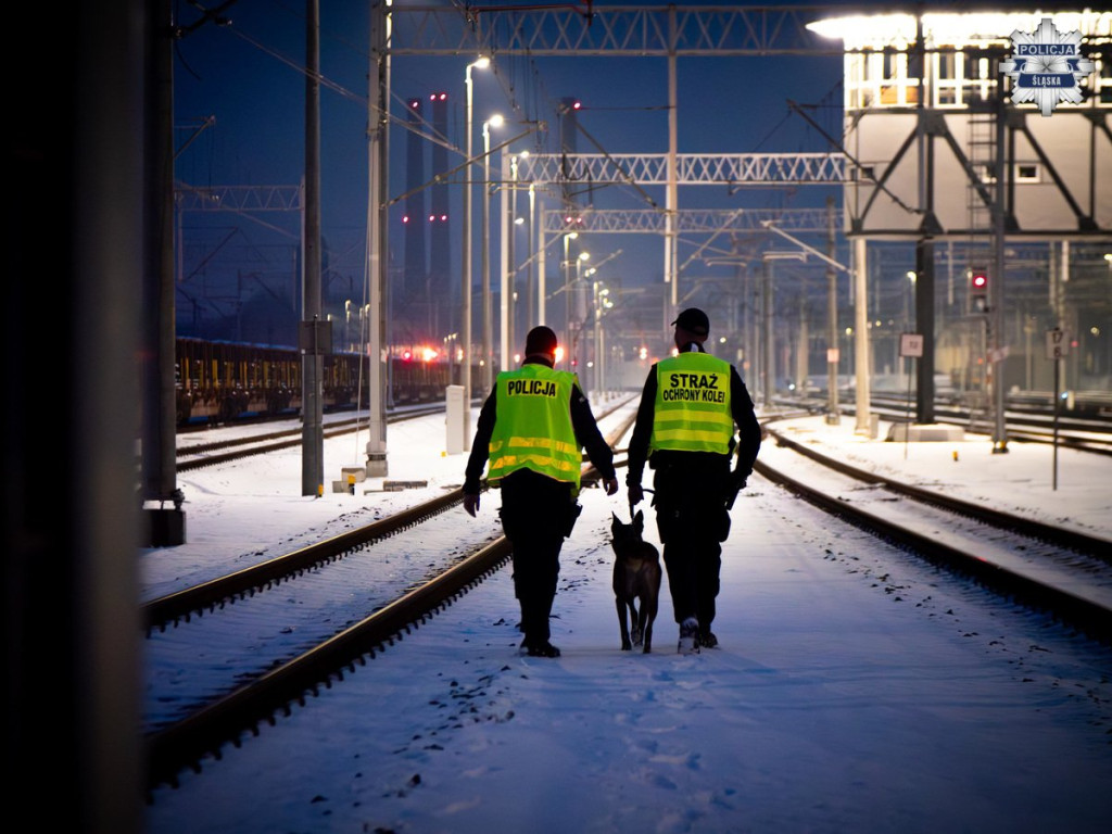 18-latek w rękach policji, sokistów i żołnierzy