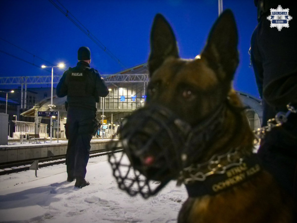 18-latek w rękach policji, sokistów i żołnierzy