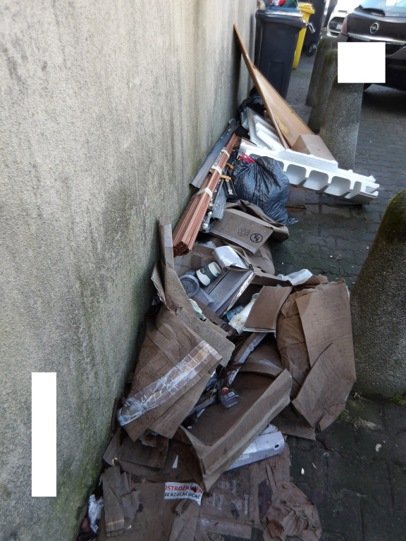 Tarnowskie Góry i śmieci. Posypały się mandaty