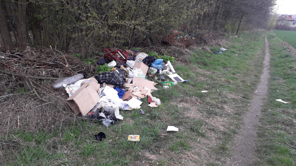 Tarnowskie Góry i śmieci. Posypały się mandaty