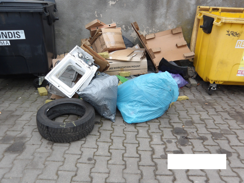 Tarnowskie Góry i śmieci. Posypały się mandaty