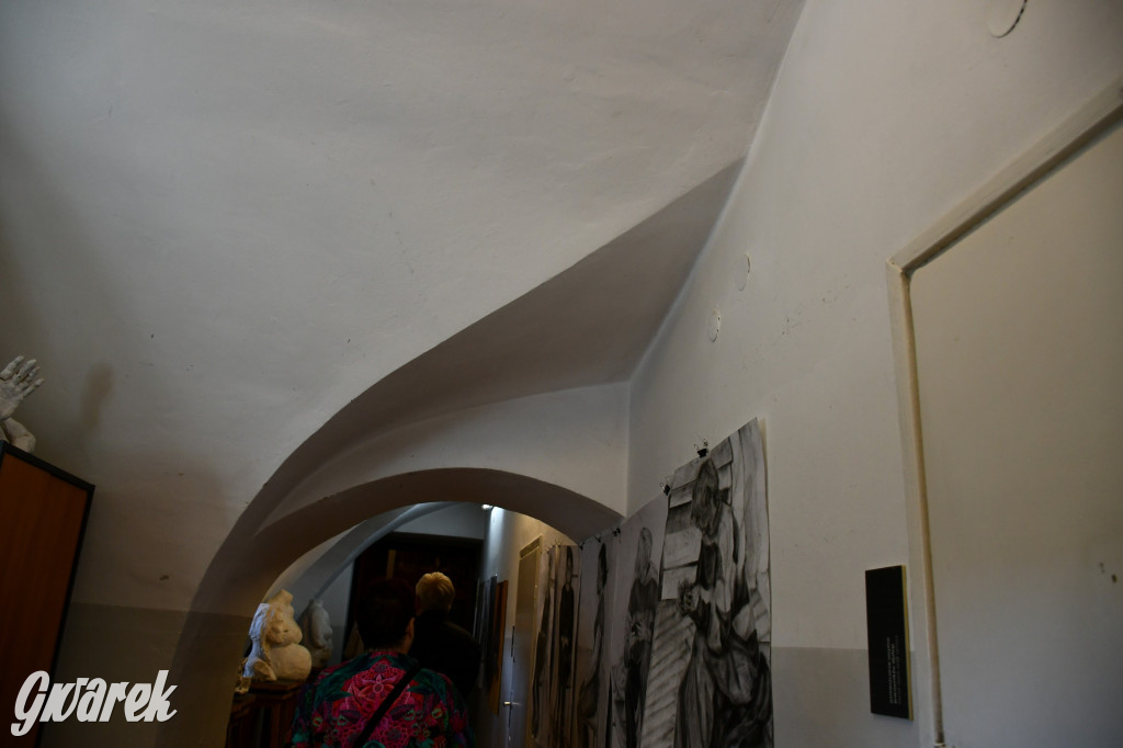 Zarząd Donnersmarcków, czyli Plastyk w folwarku