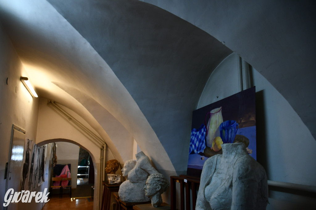 Zarząd Donnersmarcków, czyli Plastyk w folwarku