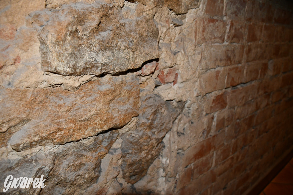 Zarząd Donnersmarcków, czyli Plastyk w folwarku