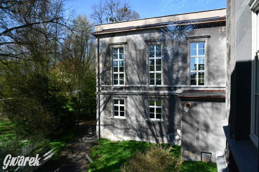 Zarząd Donnersmarcków, czyli Plastyk w folwarku