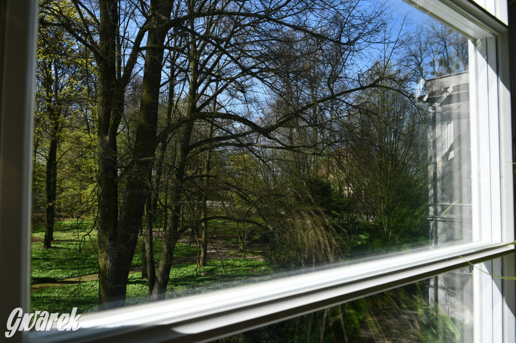 Zarząd Donnersmarcków, czyli Plastyk w folwarku