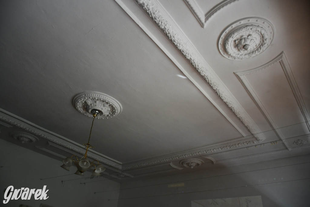 Zarząd Donnersmarcków, czyli Plastyk w folwarku