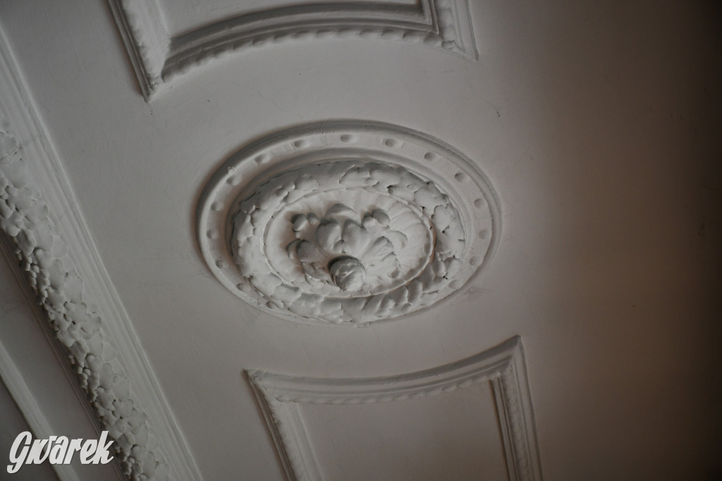 Zarząd Donnersmarcków, czyli Plastyk w folwarku