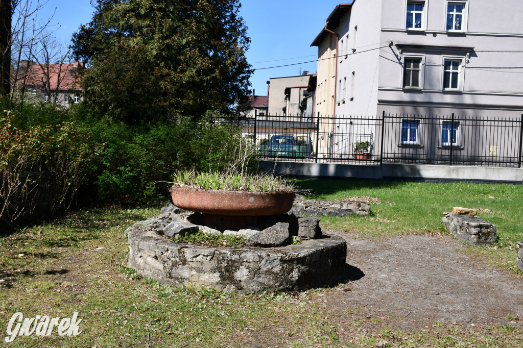 Zarząd Donnersmarcków, czyli Plastyk w folwarku