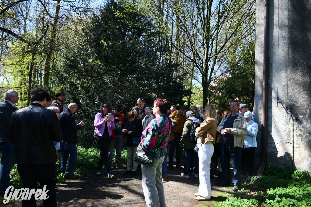 Zarząd Donnersmarcków, czyli Plastyk w folwarku