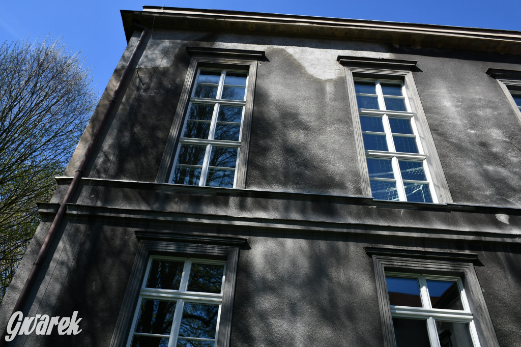 Zarząd Donnersmarcków, czyli Plastyk w folwarku