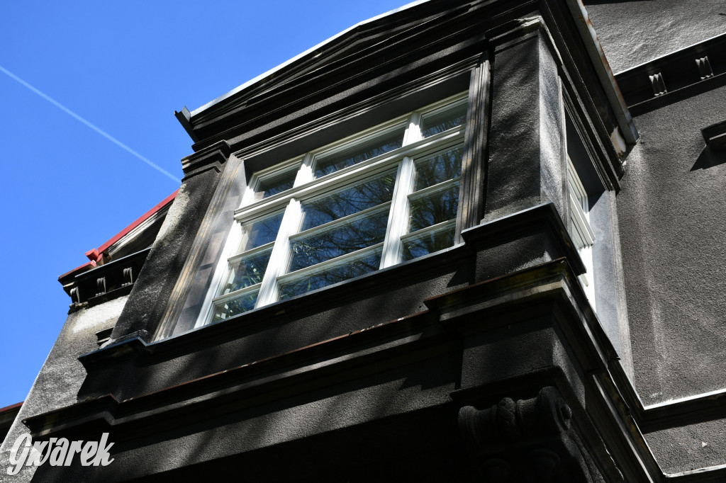 Zarząd Donnersmarcków, czyli Plastyk w folwarku