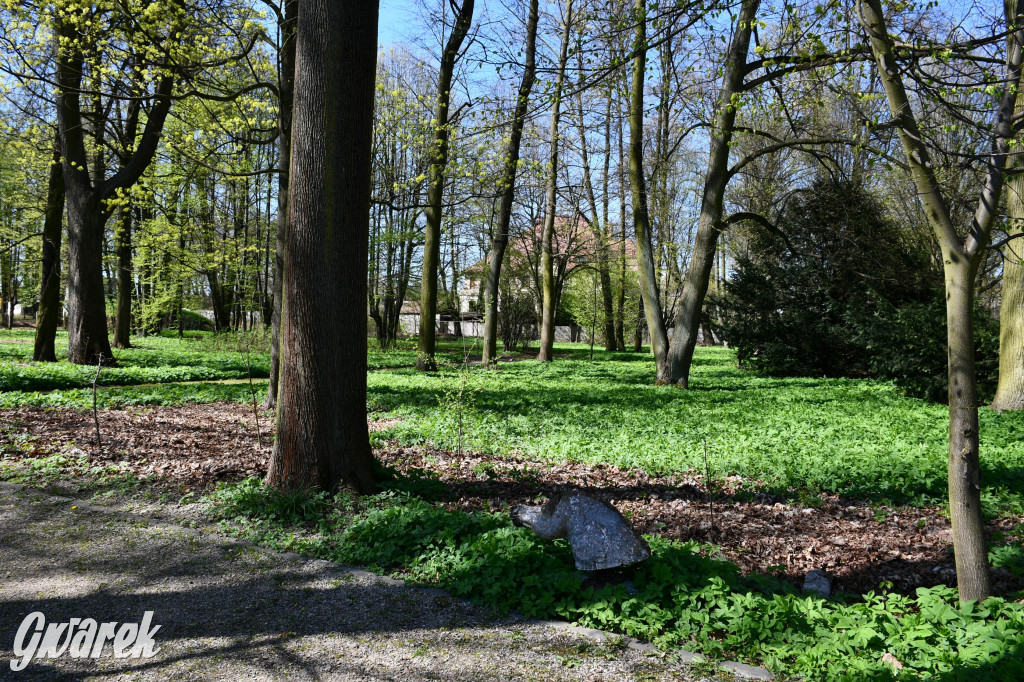 Zarząd Donnersmarcków, czyli Plastyk w folwarku