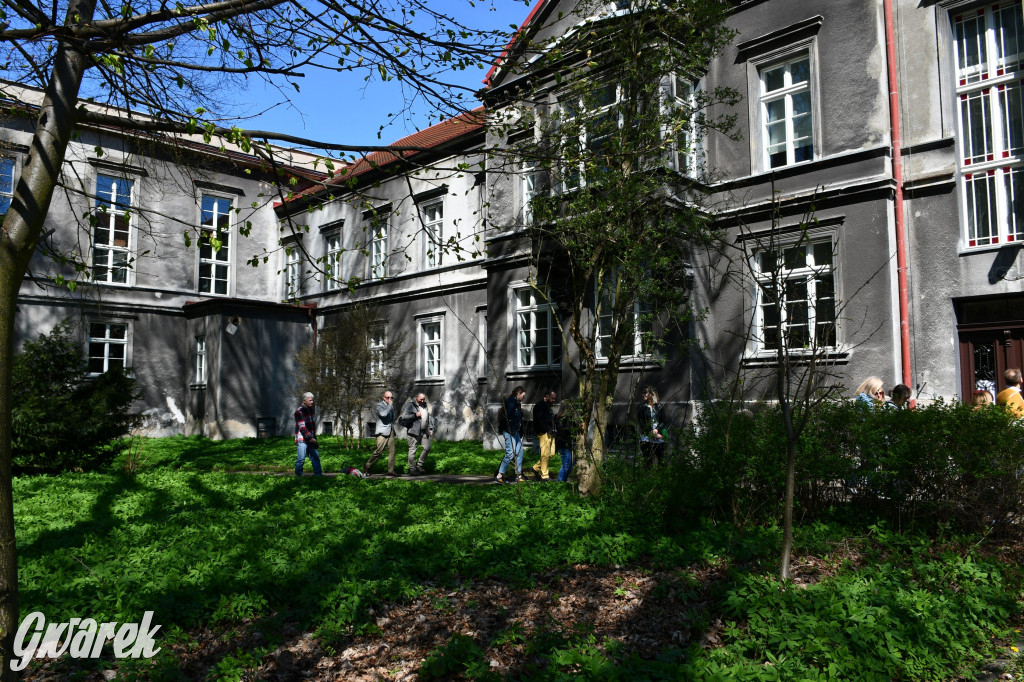 Zarząd Donnersmarcków, czyli Plastyk w folwarku