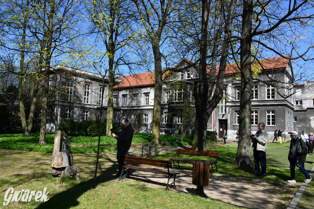 Zarząd Donnersmarcków, czyli Plastyk w folwarku