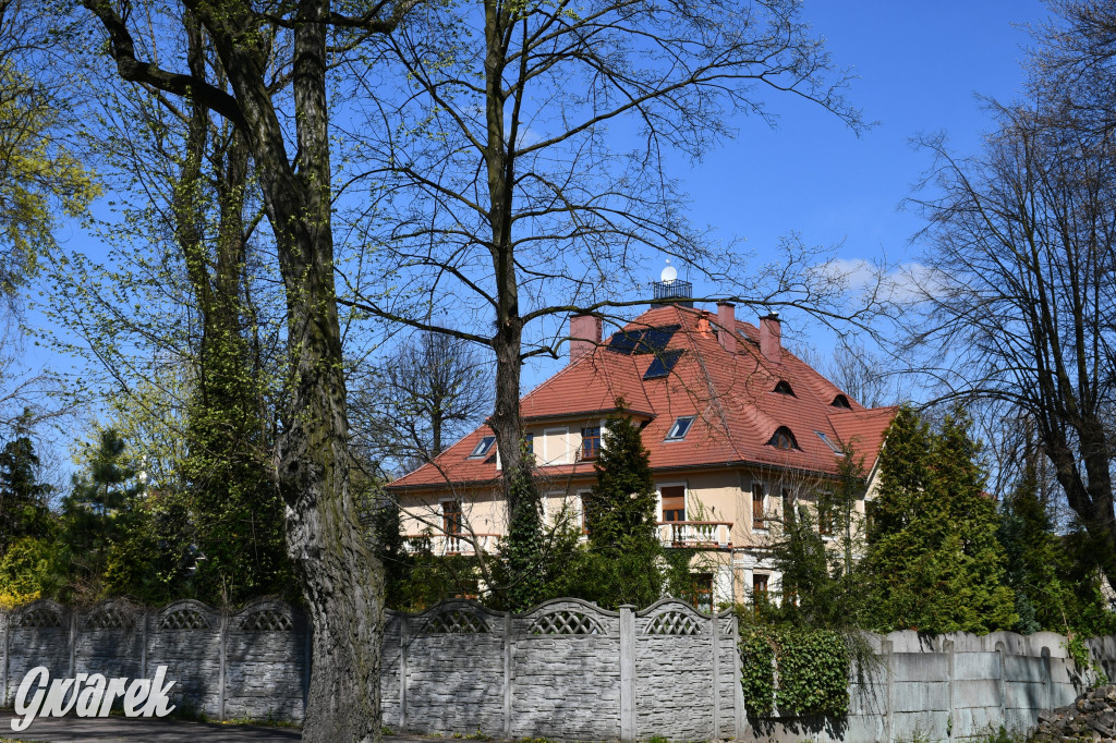Zarząd Donnersmarcków, czyli Plastyk w folwarku