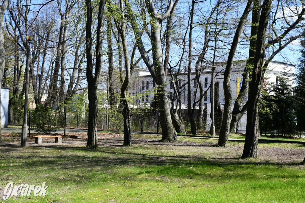 Zarząd Donnersmarcków, czyli Plastyk w folwarku