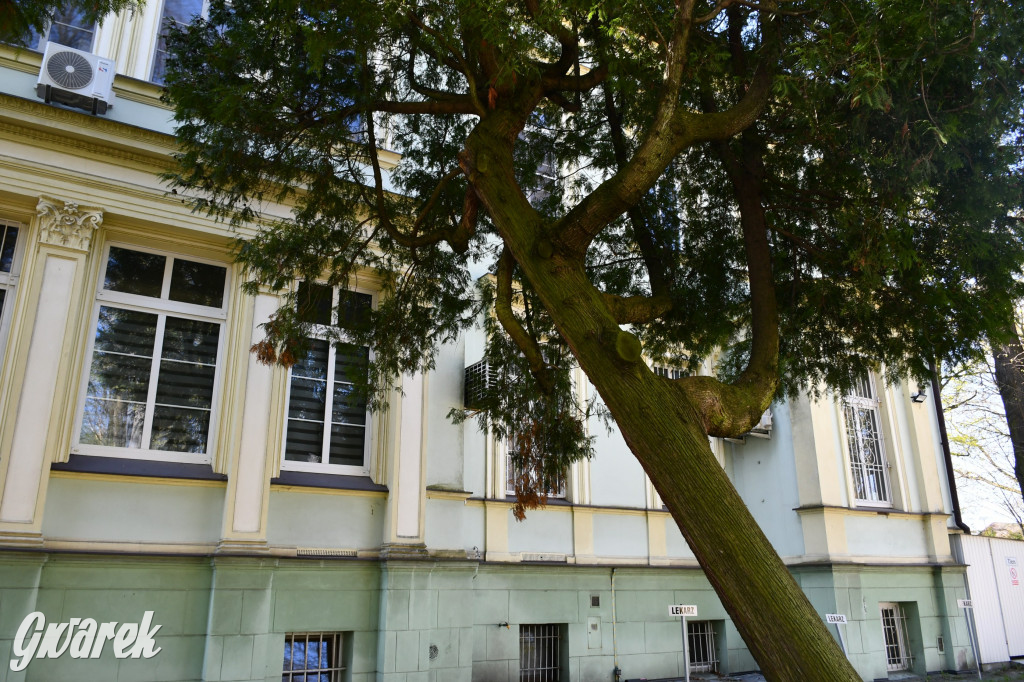 Zarząd Donnersmarcków, czyli Plastyk w folwarku