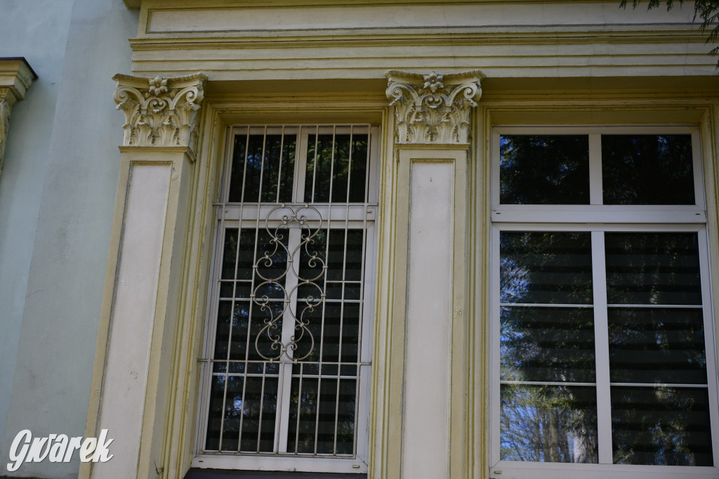 Zarząd Donnersmarcków, czyli Plastyk w folwarku