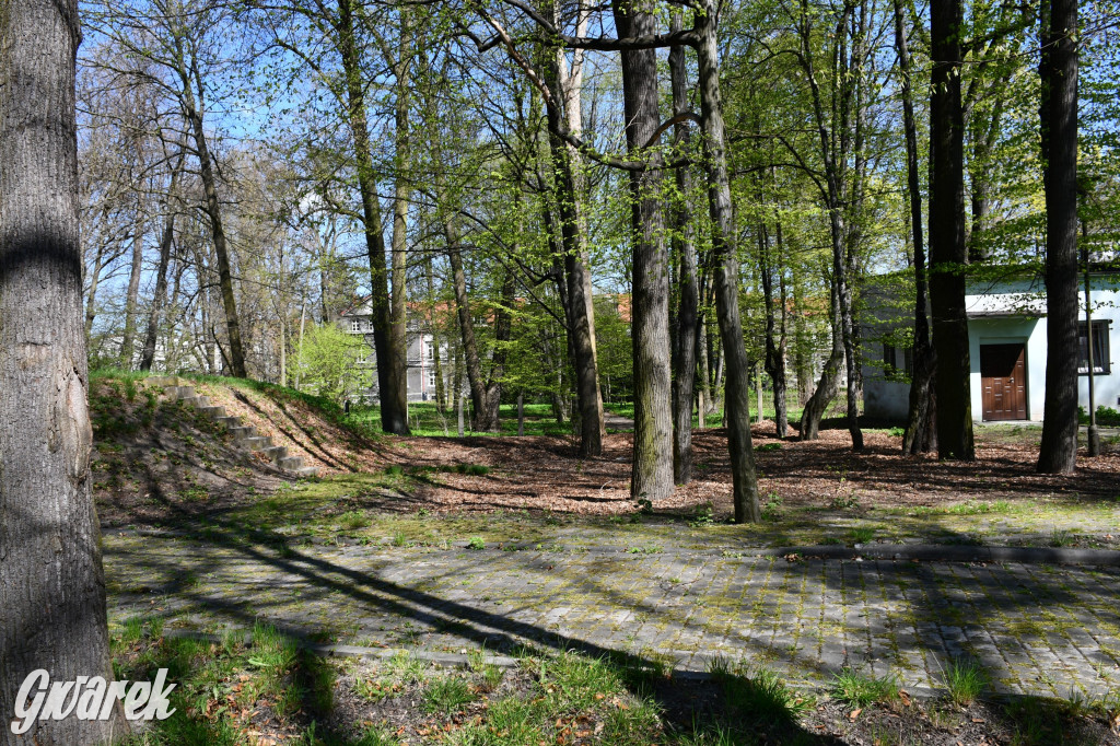 Zarząd Donnersmarcków, czyli Plastyk w folwarku