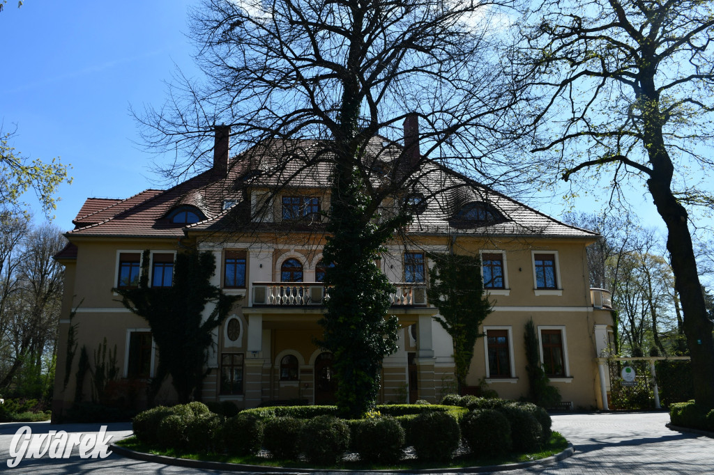 Zarząd Donnersmarcków, czyli Plastyk w folwarku