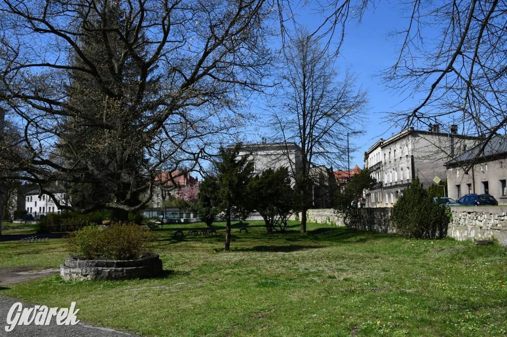 Zarząd Donnersmarcków, czyli Plastyk w folwarku