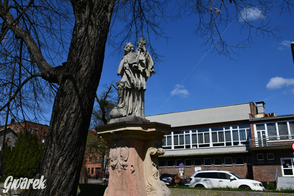 Zarząd Donnersmarcków, czyli Plastyk w folwarku