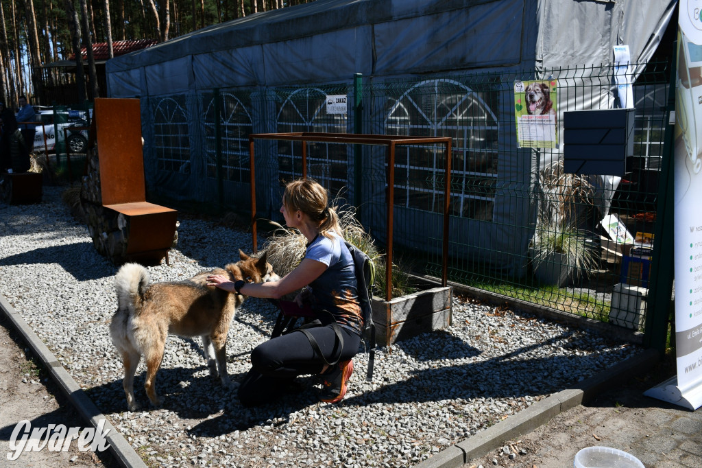 Biegi i podchody z psami nad Zalewem Nakło-Chechło