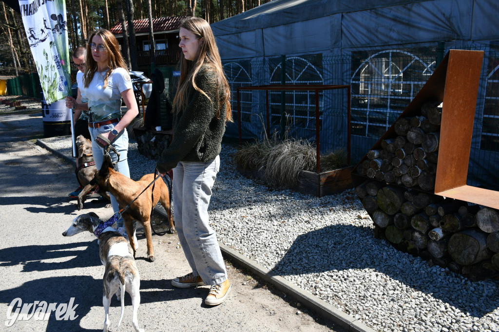 Biegi i podchody z psami nad Zalewem Nakło-Chechło