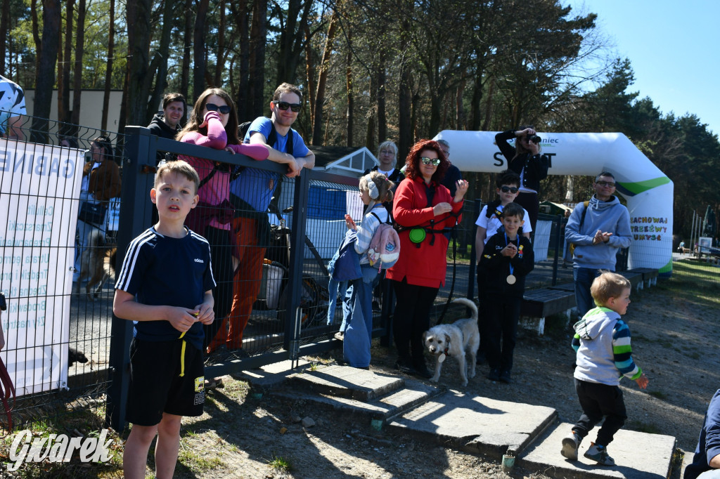 Biegi i podchody z psami nad Zalewem Nakło-Chechło