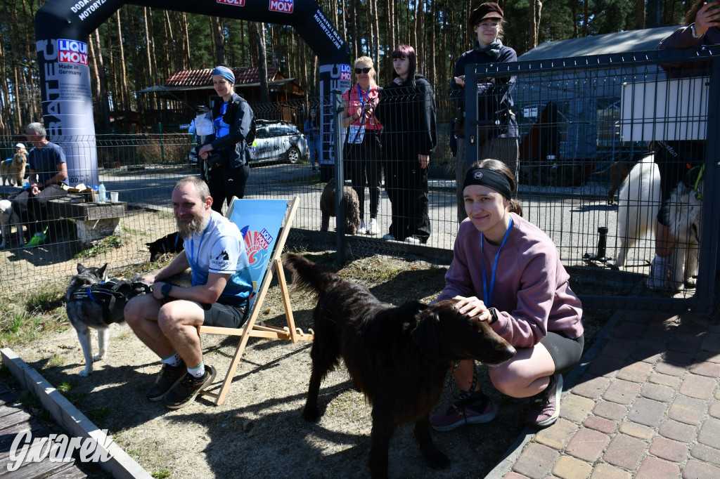 Biegi i podchody z psami nad Zalewem Nakło-Chechło