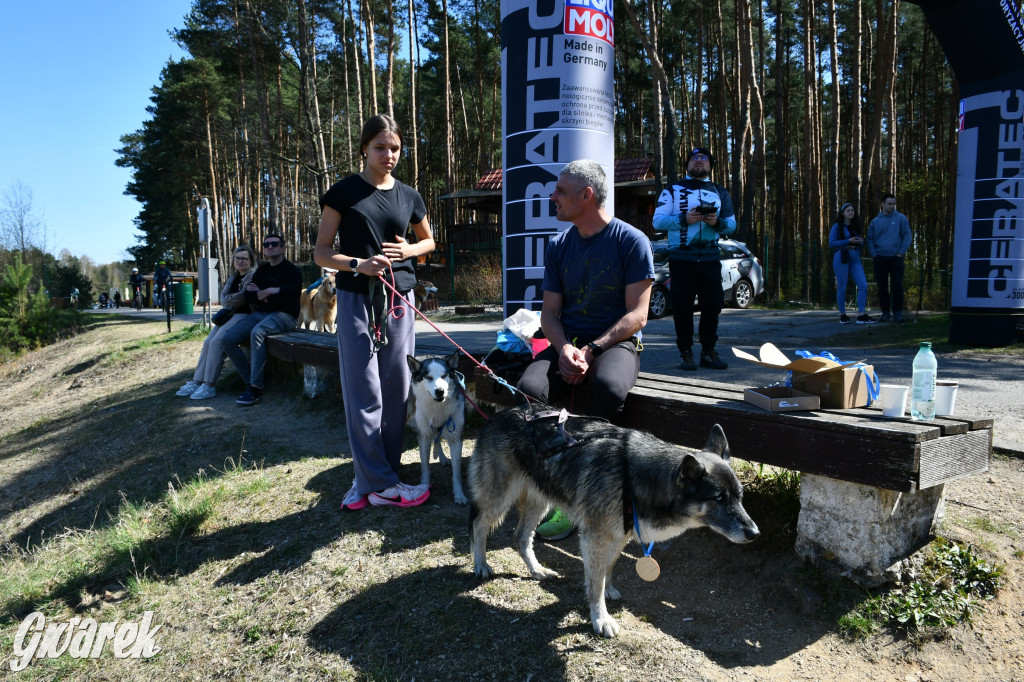 Biegi i podchody z psami nad Zalewem Nakło-Chechło