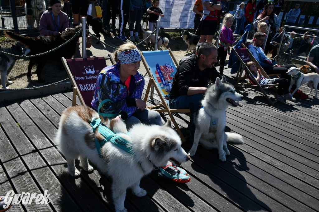 Biegi i podchody z psami nad Zalewem Nakło-Chechło