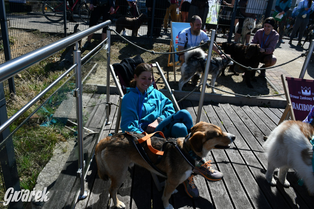 Biegi i podchody z psami nad Zalewem Nakło-Chechło