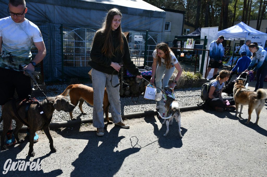 Biegi i podchody z psami nad Zalewem Nakło-Chechło