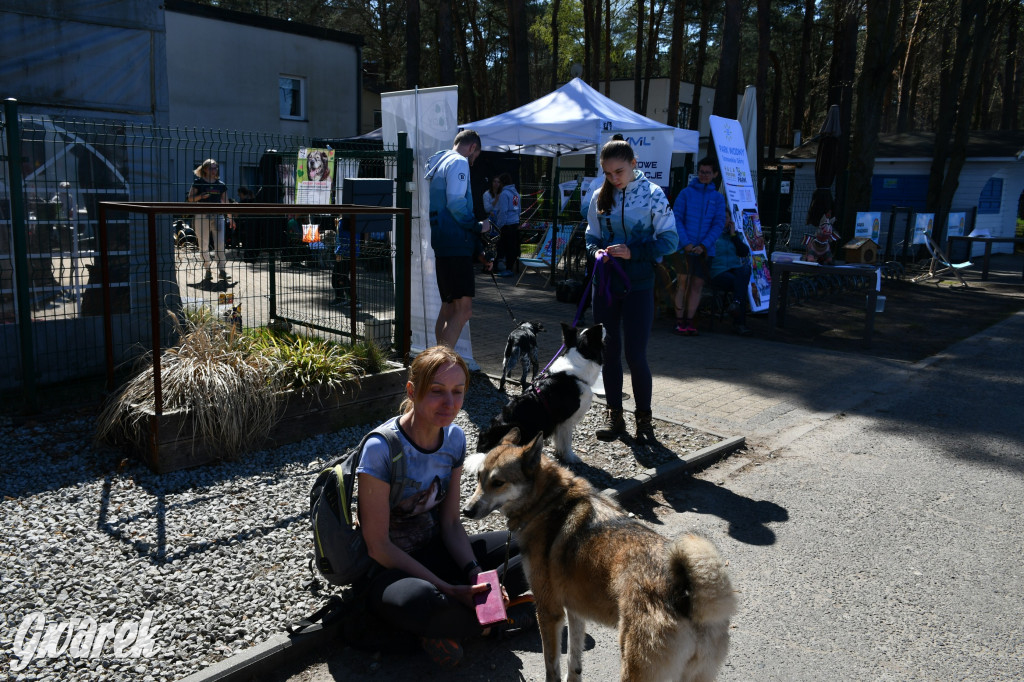 Biegi i podchody z psami nad Zalewem Nakło-Chechło
