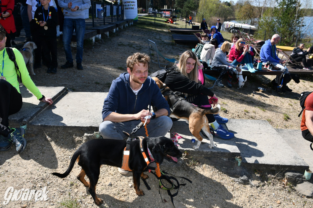 Biegi i podchody z psami nad Zalewem Nakło-Chechło