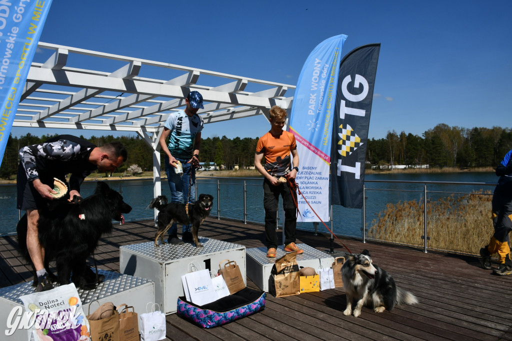 Biegi i podchody z psami nad Zalewem Nakło-Chechło