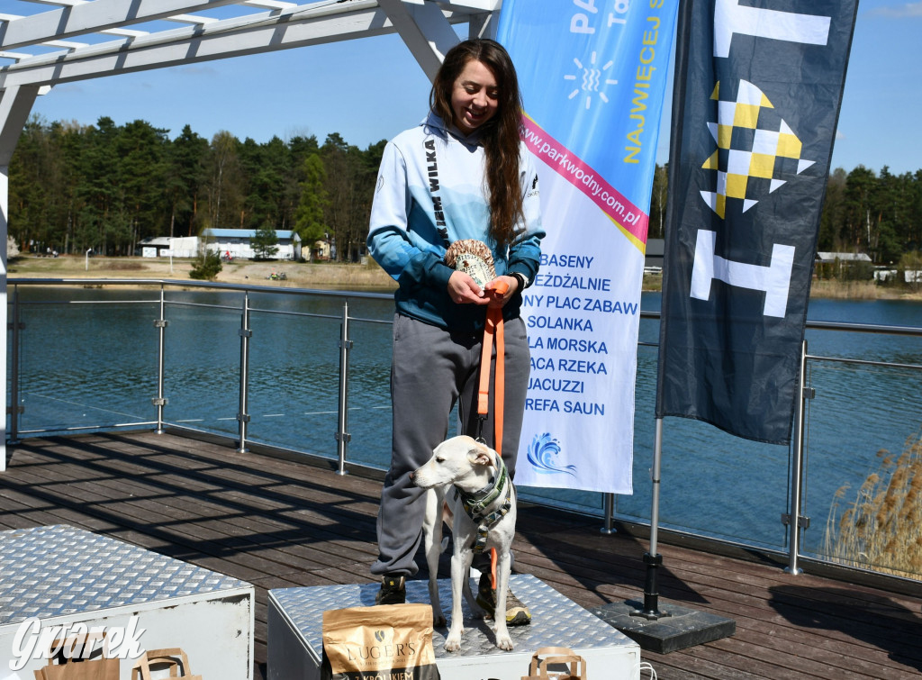 Biegi i podchody z psami nad Zalewem Nakło-Chechło