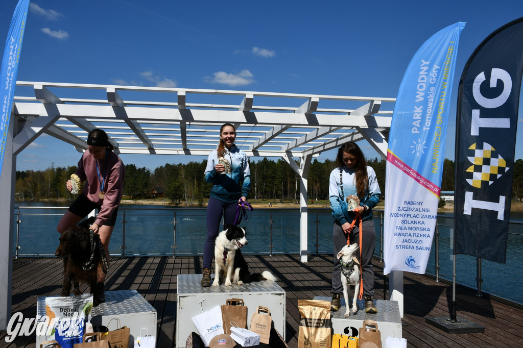 Biegi i podchody z psami nad Zalewem Nakło-Chechło