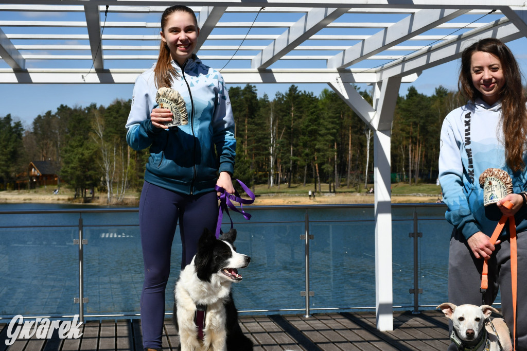 Biegi i podchody z psami nad Zalewem Nakło-Chechło