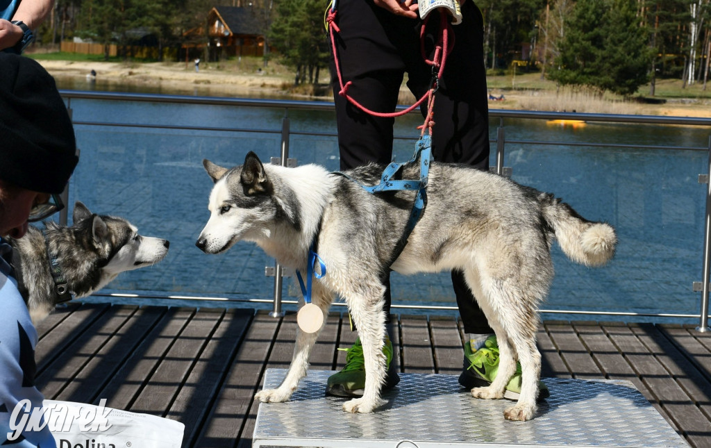 Biegi i podchody z psami nad Zalewem Nakło-Chechło