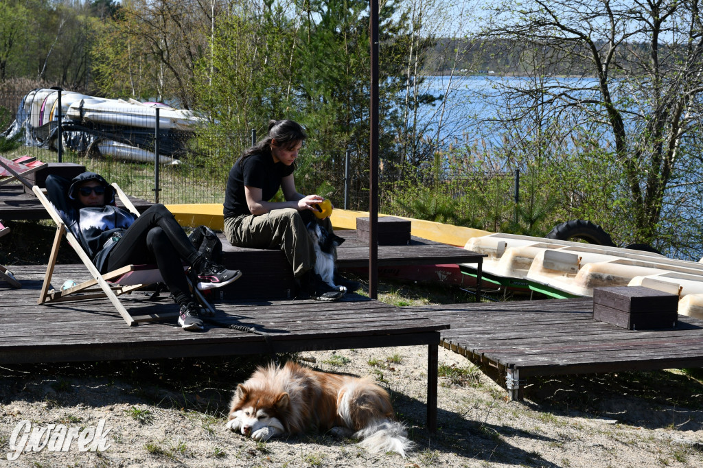 Biegi i podchody z psami nad Zalewem Nakło-Chechło
