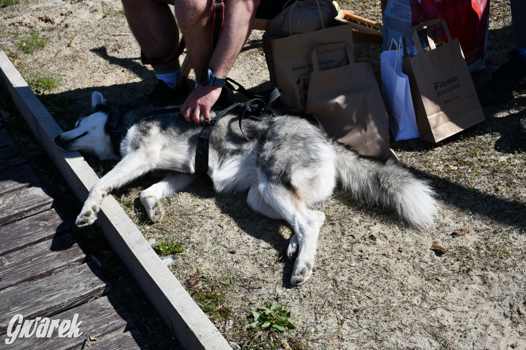 Biegi i podchody z psami nad Zalewem Nakło-Chechło