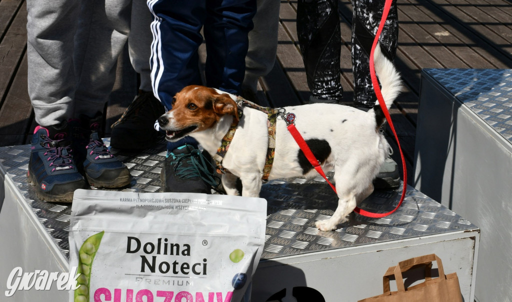 Biegi i podchody z psami nad Zalewem Nakło-Chechło